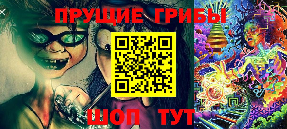 Костомукша  Галлюциногенные грибы прущие грибы  Вход с VPN 